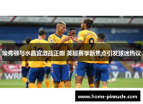 埃弗顿与水晶宫激战正酣 英超赛季新焦点引发球迷热议