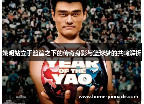 姚明站立于篮筐之下的传奇身影与篮球梦的共鸣解析