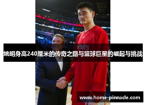 姚明身高240厘米的传奇之路与篮球巨星的崛起与挑战