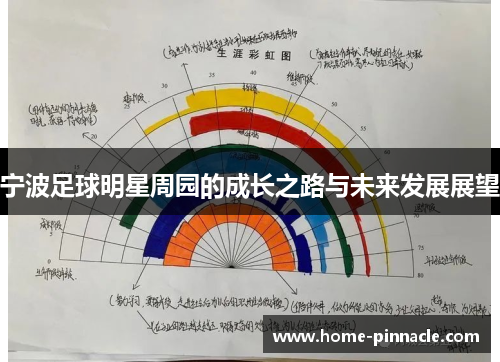 宁波足球明星周园的成长之路与未来发展展望